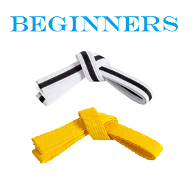 Montly Dues - Beginner