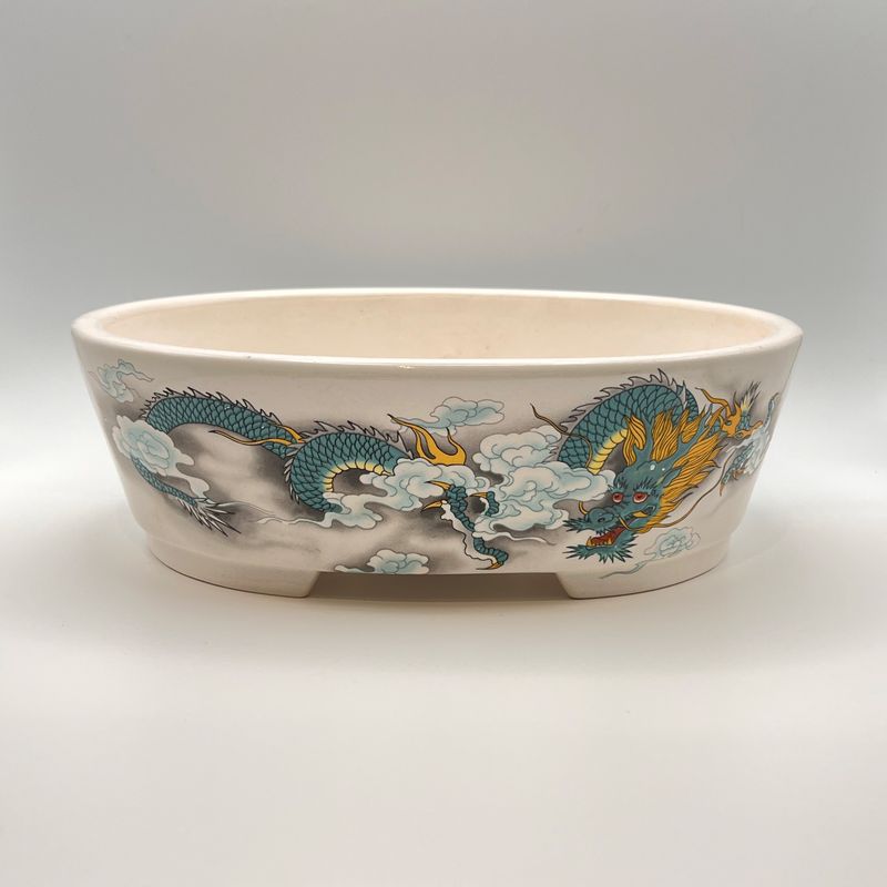 Dragon Design Chinese Glazed Ceramic Bonsai Pot