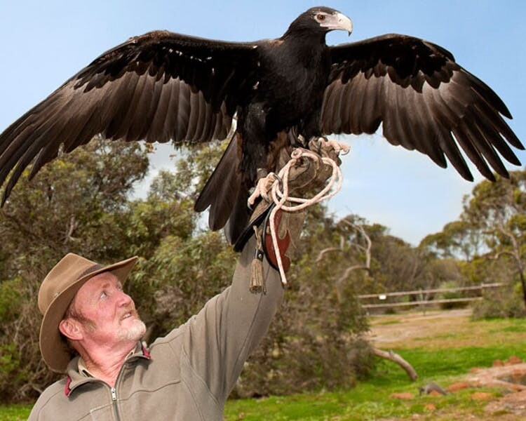 Kangaroo Island
