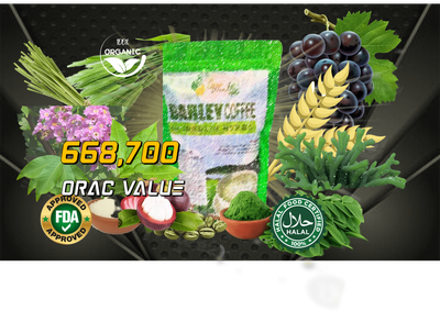 BARLEY GREEN COFFEE MIX (FREE SHIPPING)