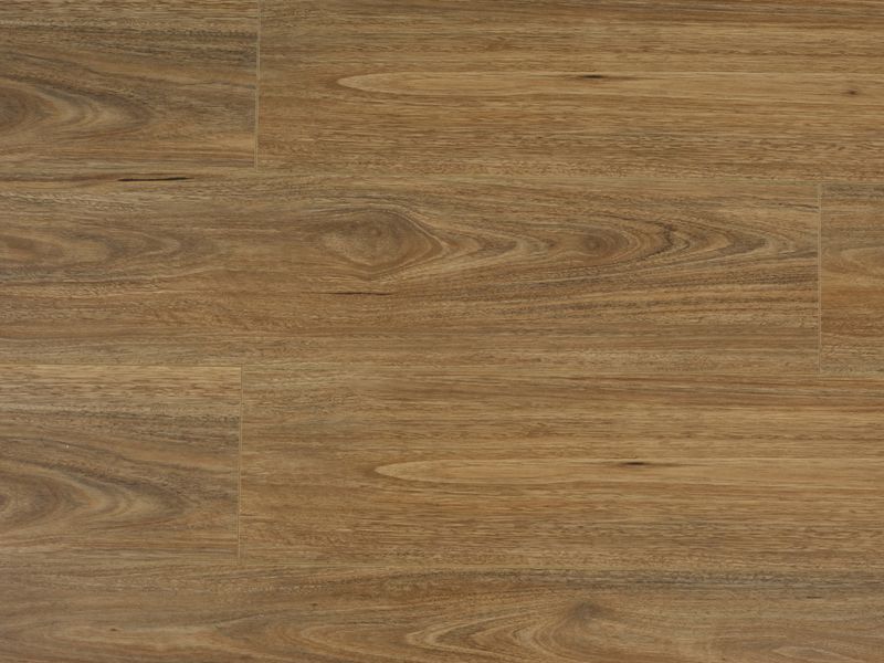 Laminate Flooring Spotted Gum 2200