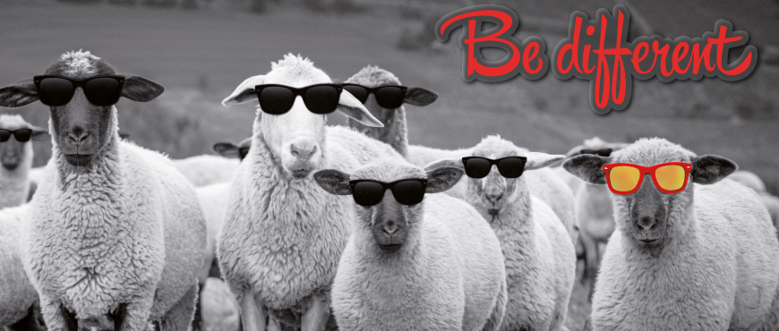 Occhiali da sole 41 Eyewear FREEDOM