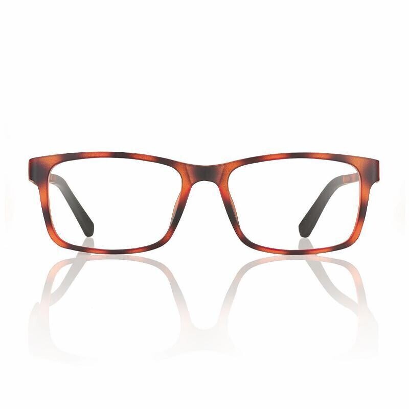 CentroStyle Boston F0388 Demi/tartaruga