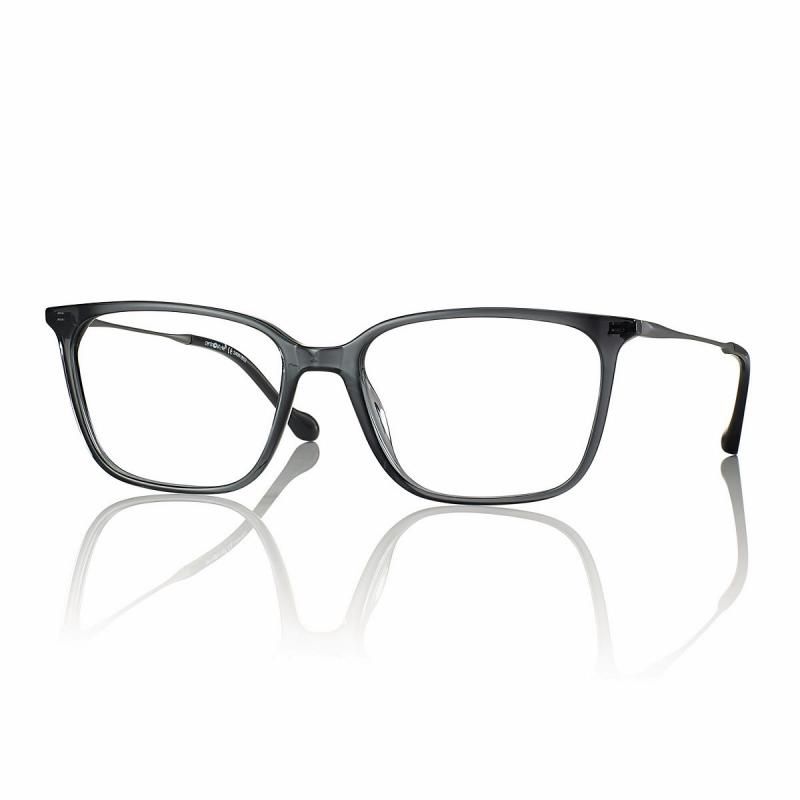 Montatura Neyeture con aste beta titanio mod F0602 Grigio