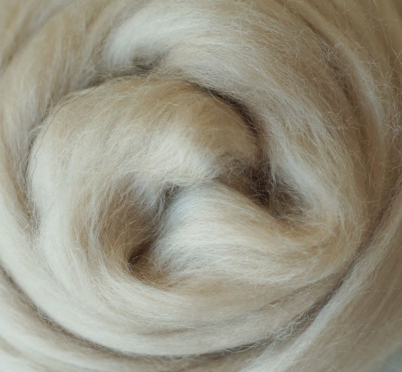 Kammzug  Marzipan - reine Wolle (Merino) 10g • weitere Knäuelgrößen verfügbar