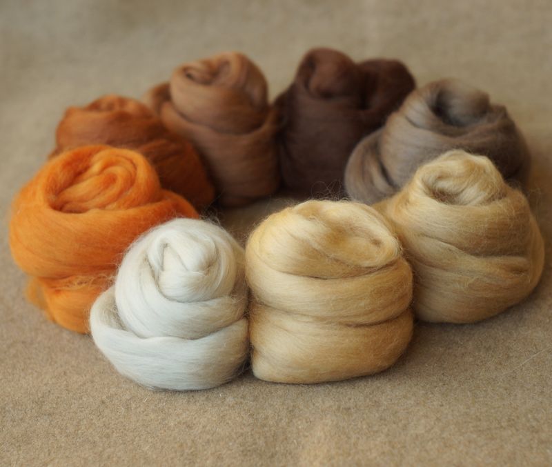 Kammzugset in Beige-, Braun- und Orangetönen * 100g reine Wolle (Merino)