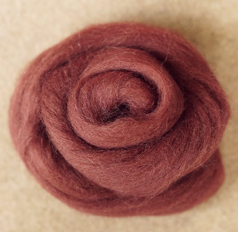 Kammzug Eichhörnchen - reine Wolle (Merino) 10g • weitere Knäuelgrößen verfügbar