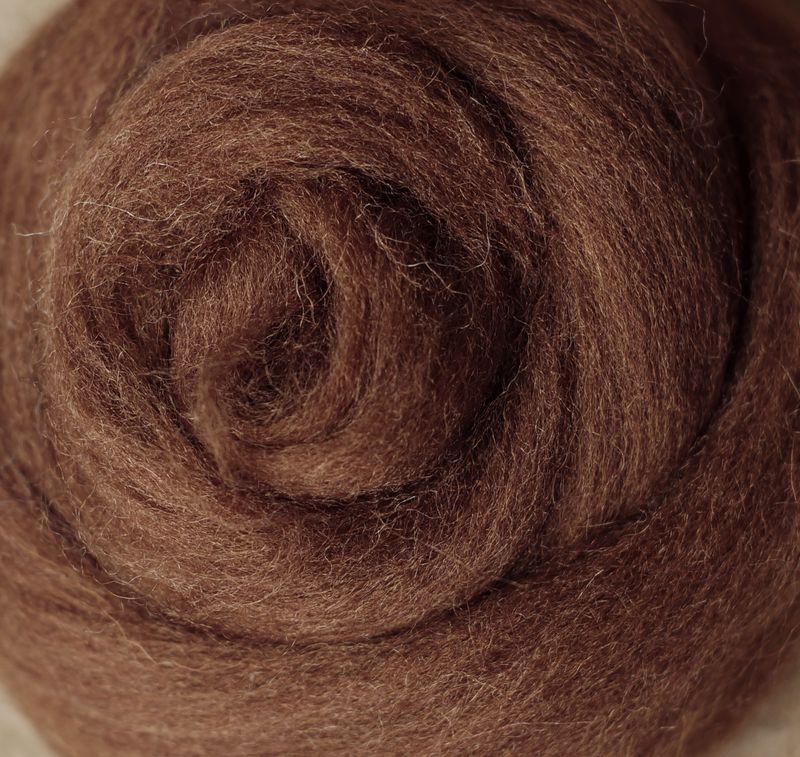 Kammzug Carob - reine Wolle (Merino) 10g • weitere Knäuelgrößen verfügbar
