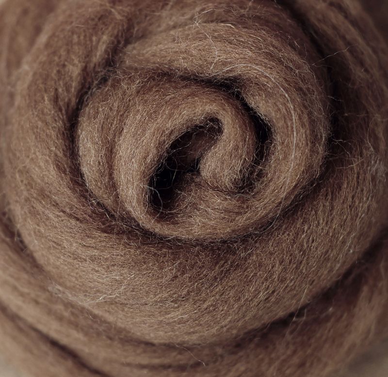 Kammzug Haselnuss - reine Wolle (Merino) 10g • weitere Knäuelgrößen verfügbar