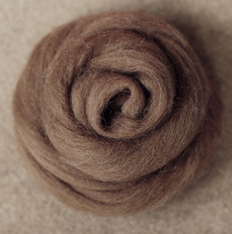 Kammzug Haselnuss - reine Wolle (Merino) 10g • weitere Knäuelgrößen verfügbar