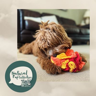 Snuffle Ball - Sunset Red