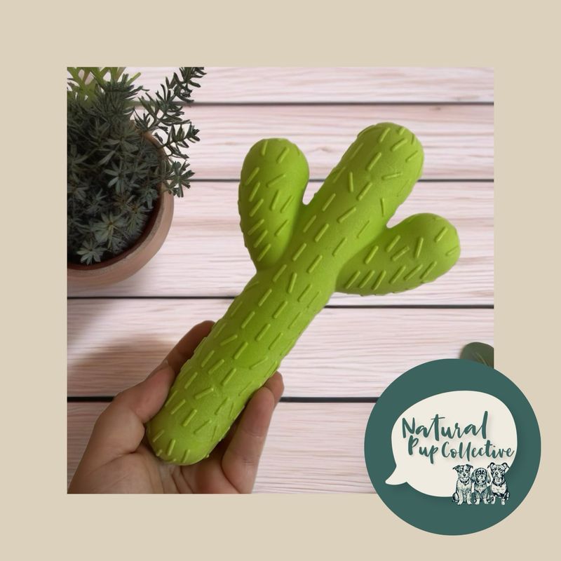 Cactus Rubber Chew Toy