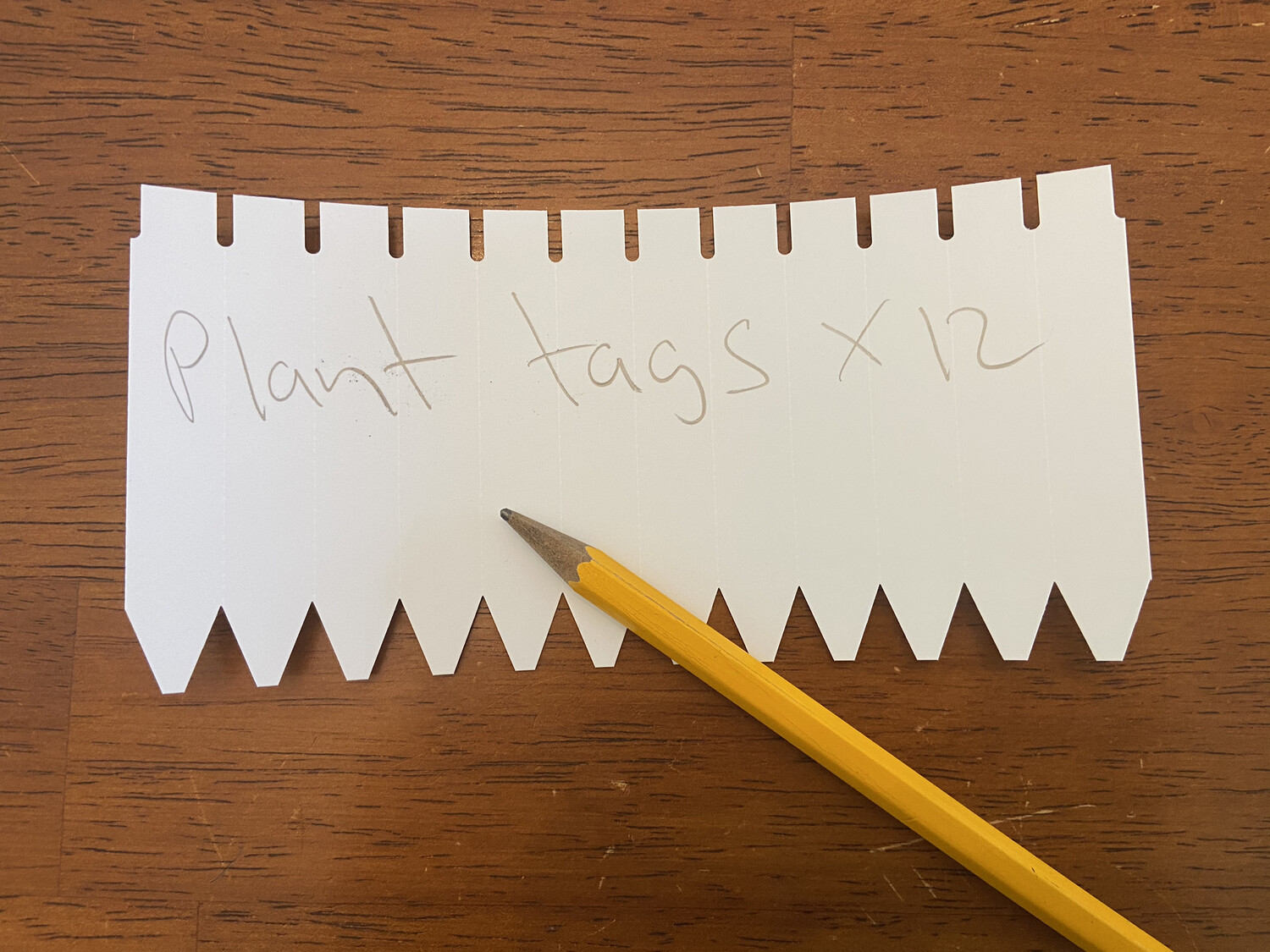 3” Plant tags x 12