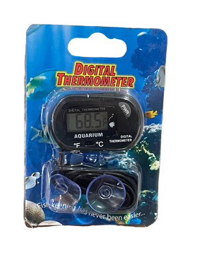 Digital Thermometer