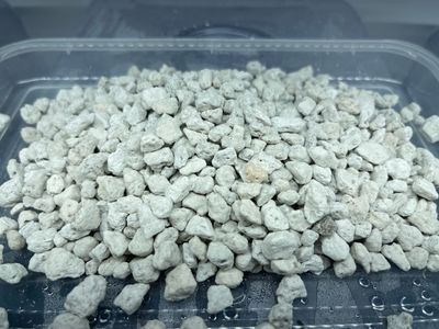 Premium Bonsai Pumice - Great For Pinguicula!