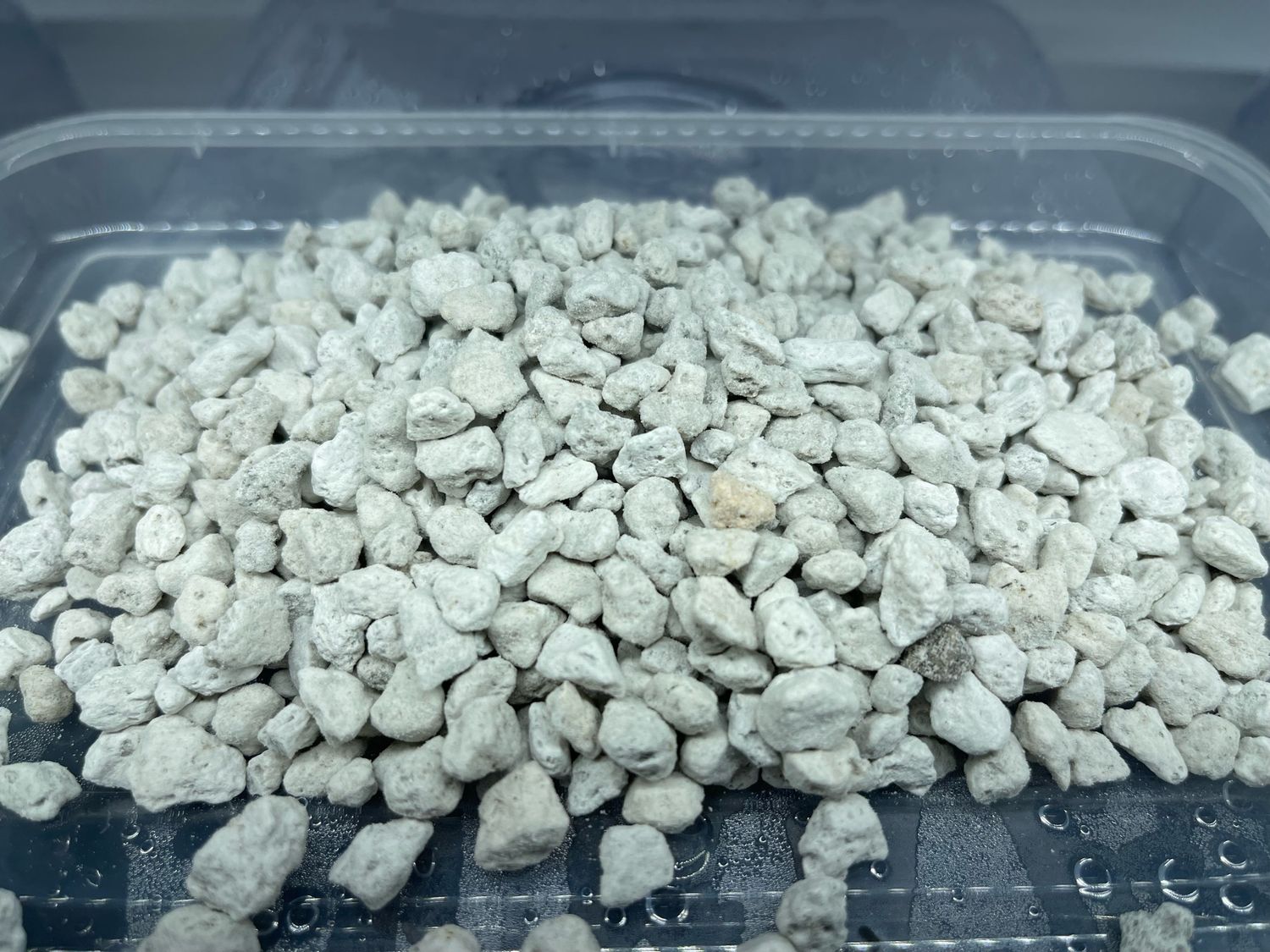 Premium Bonsai Pumice - Great For Pinguicula!