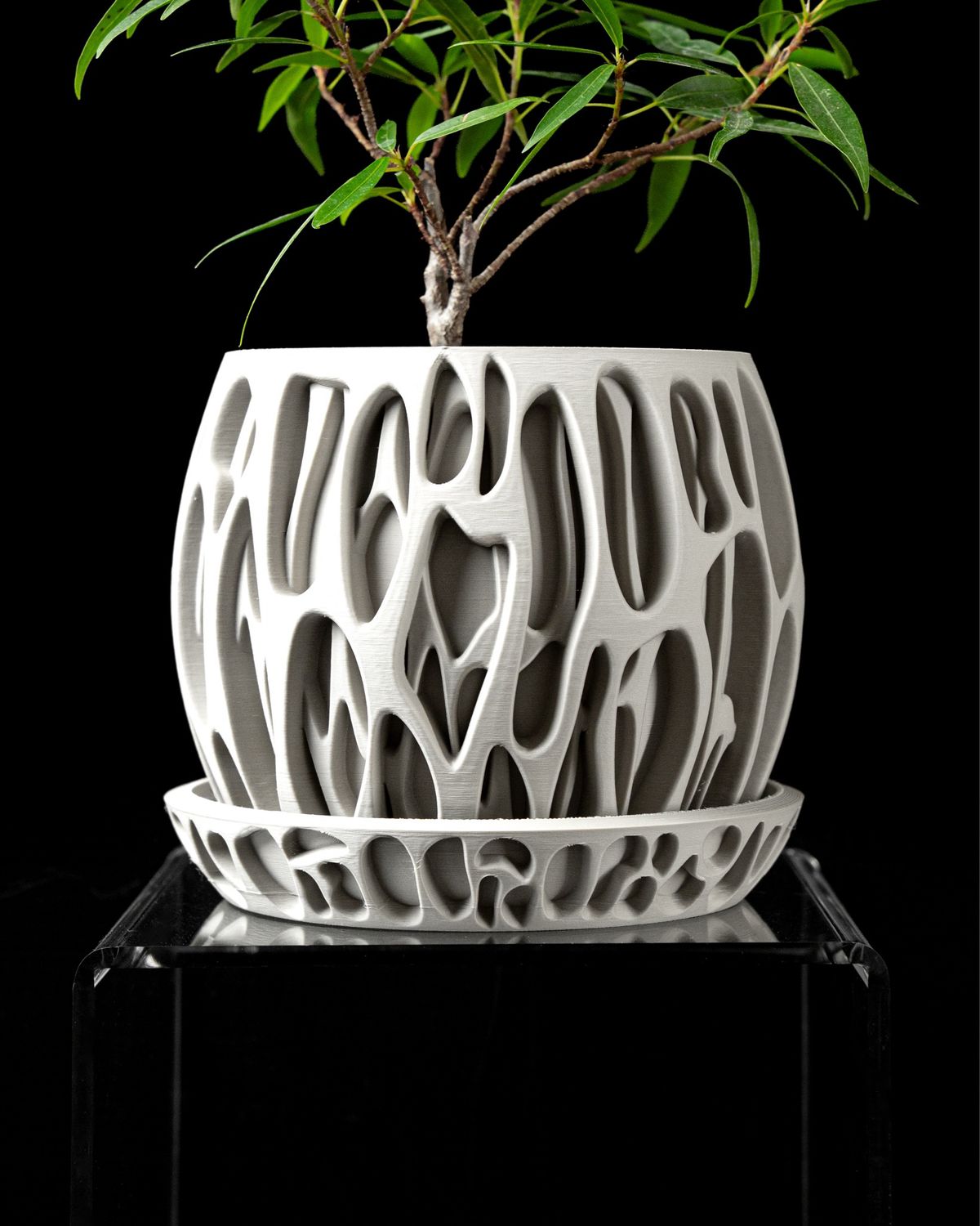 Elegance Planter Pot