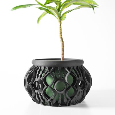 The Lyren Planter &amp; Orchid Pot