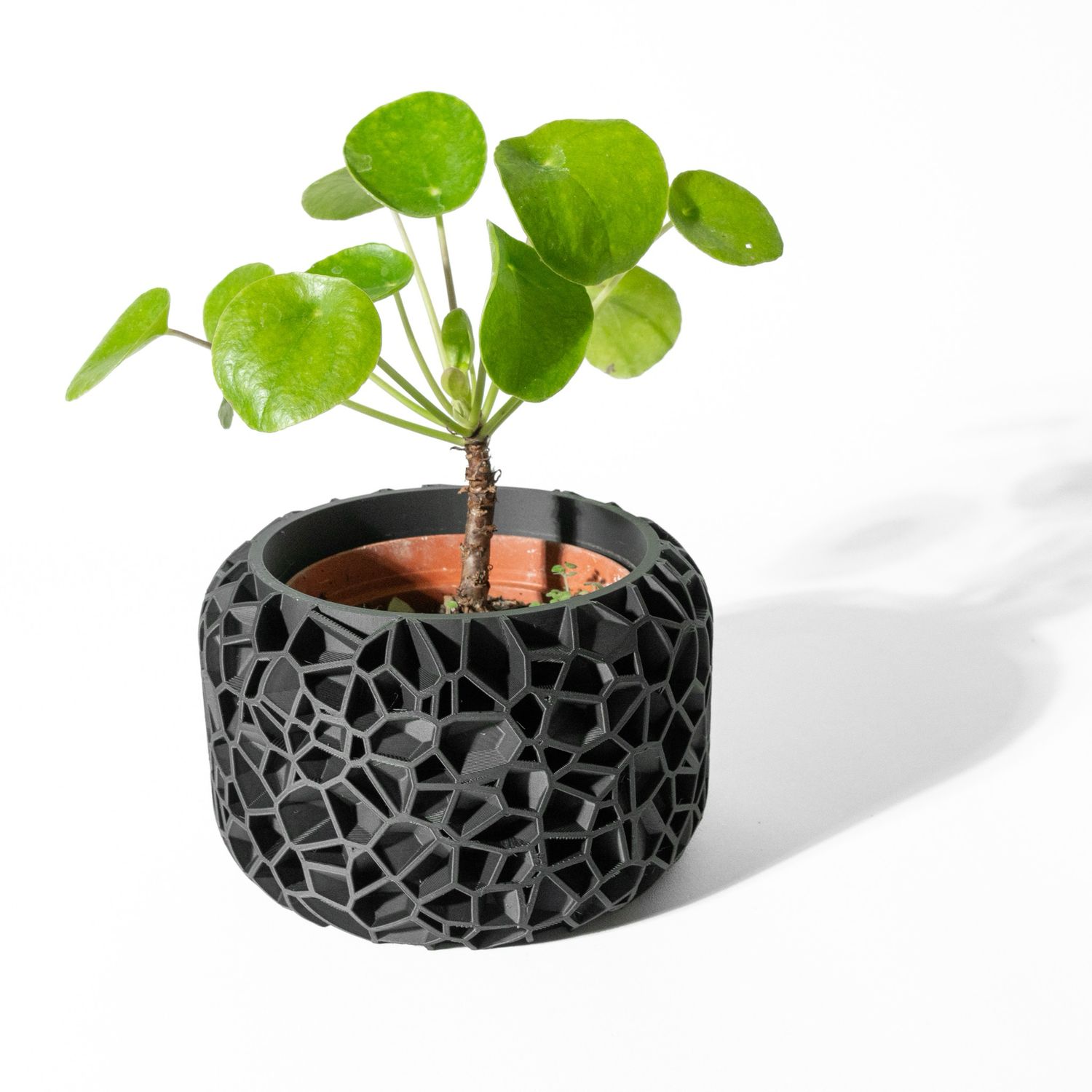 VORI Planter Pot