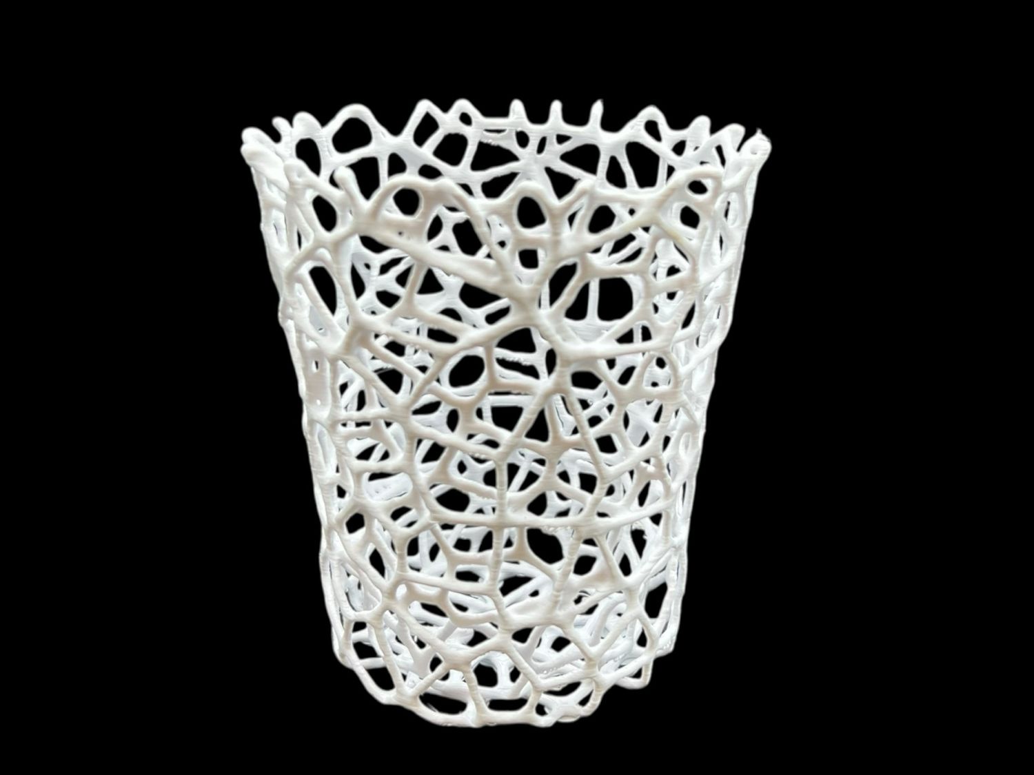 Extreme Voronoi Orchid Pot