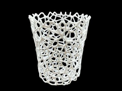 Extreme Voronoi Orchid Pot