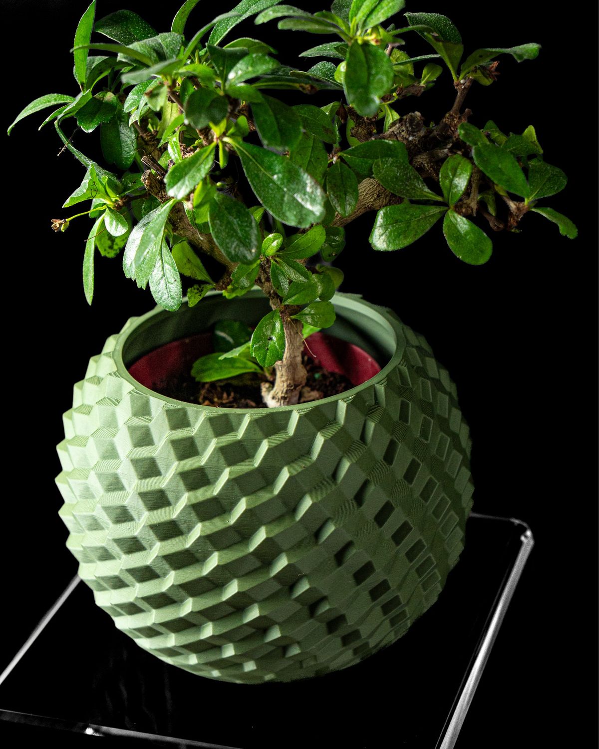 The COBBLE Planter Pot