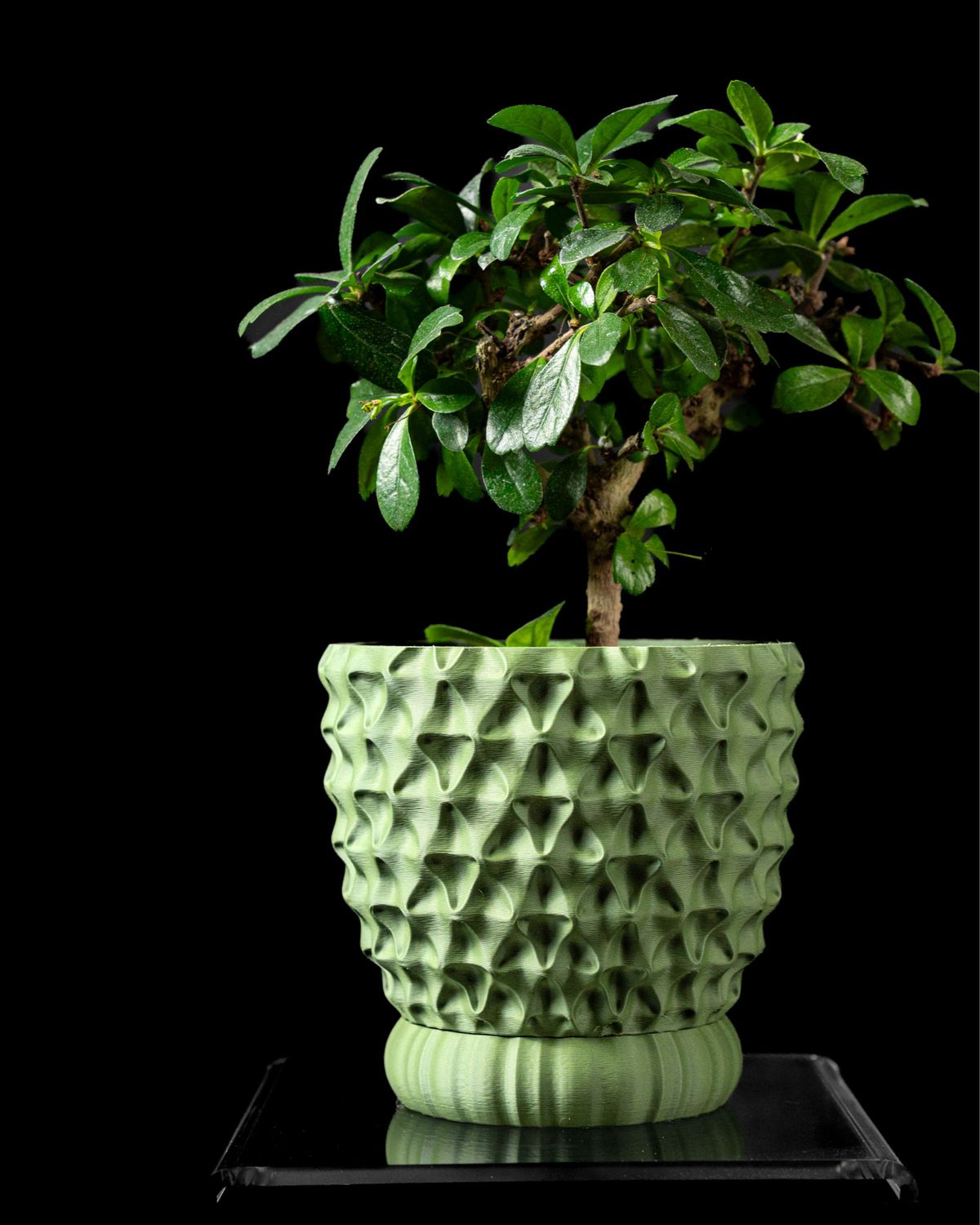 The TRIWAVE Planter Pot