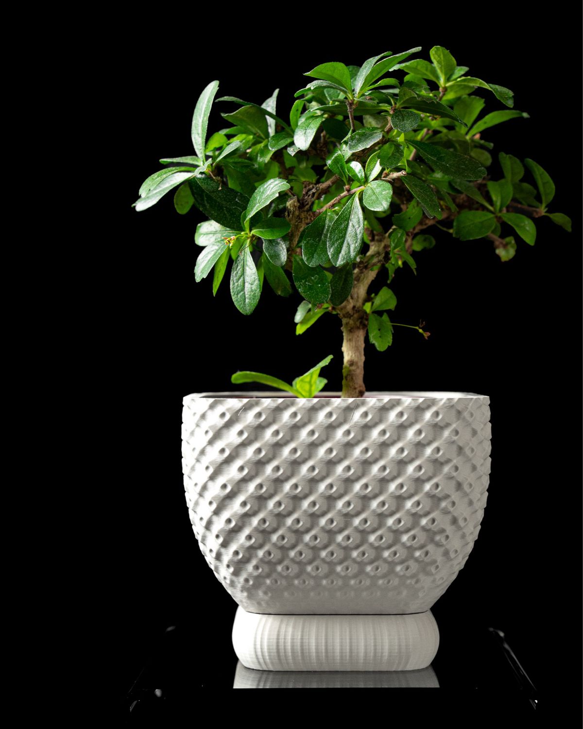 The CONNECT Planter Pot