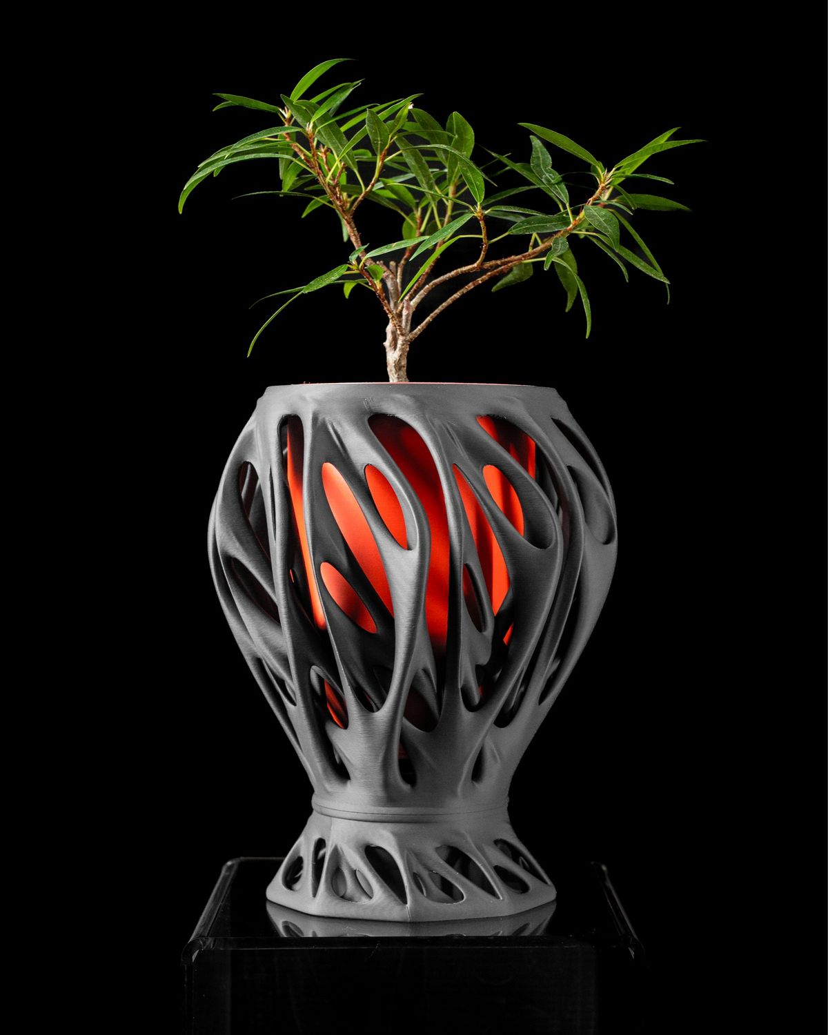 The MANTIS Orchid Planter Pot w/ Sleeve