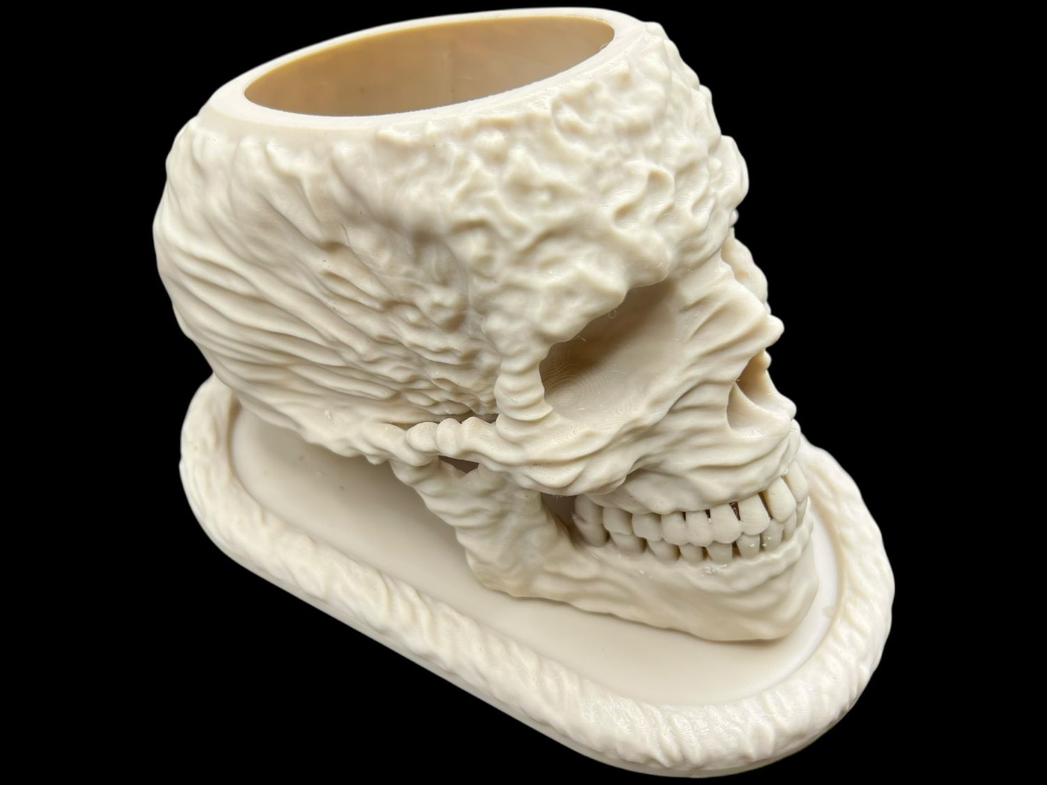 The SKULL Planter Pot w/ Saucer