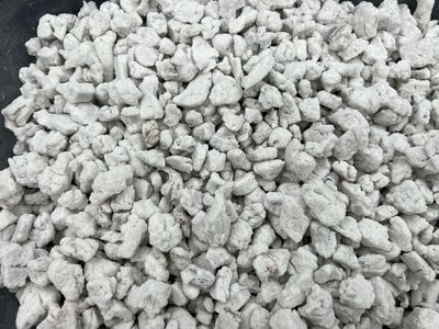  “Jumbo ” Perlite Media 6L