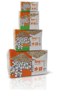 Sphagnum moss Spagmoss 3kg/ 240L