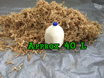 Sphagnum moss Spagmoss 500g/40L