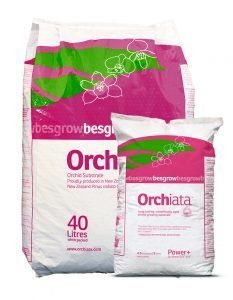 Orchiata Classic 6L