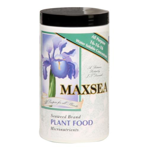 Maxsea Fertilizer 16-16-16 for Carnivorous Plants and Orchids