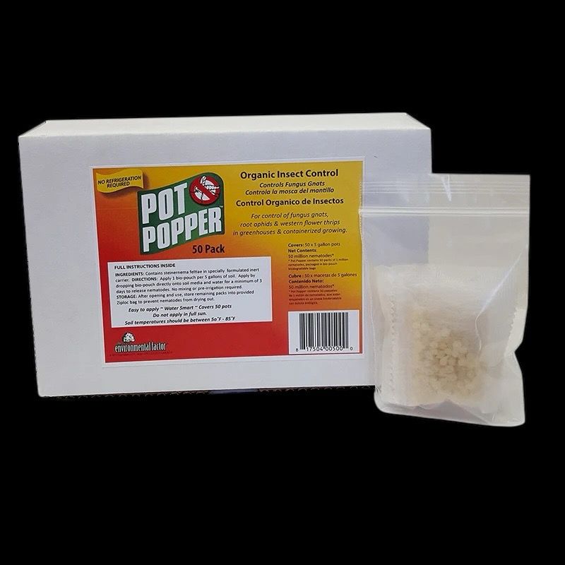 Pot Popper Organic Nematode for Thrips and Fungus Gnat control (1 Sachet) 