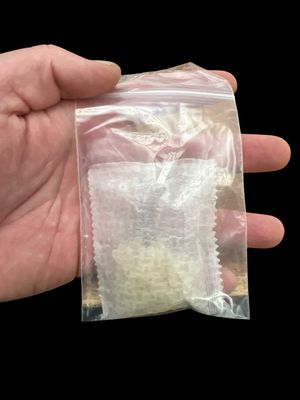 Pot Popper Organic Nematode for Thrips and Fungus Gnat control (1 Sachet) 