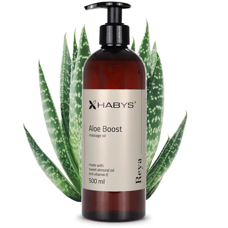 Nuddolía - Aloe Boost - 500ml