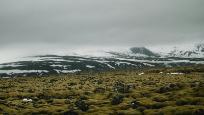 Meðlimir