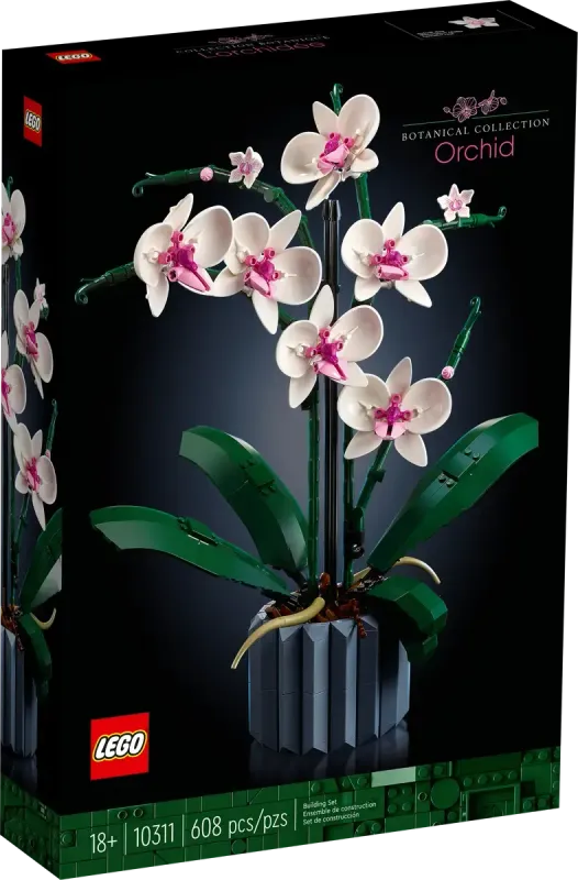 10311 Orchidee