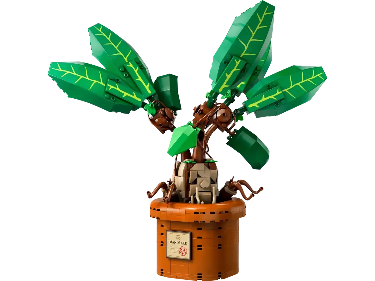 76433 Mandrake
