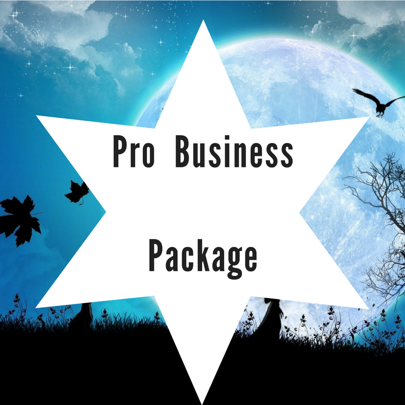 Professionail Business Package