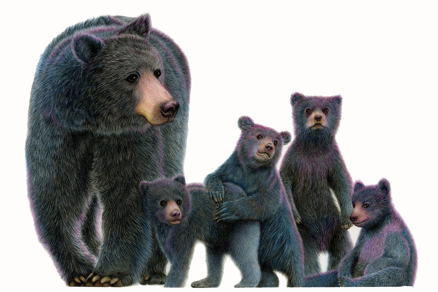 &#39;Family Portrait&quot;
