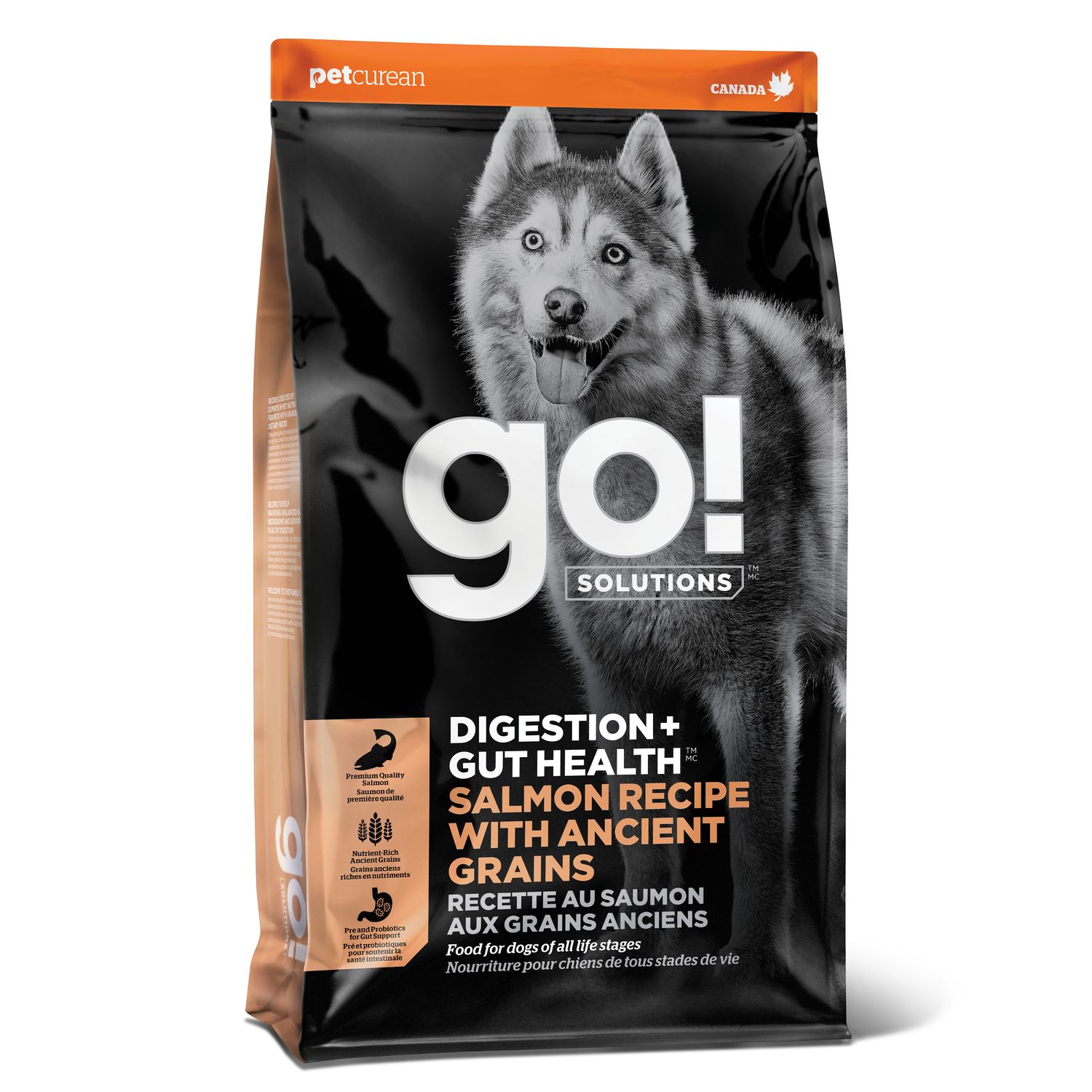 Go! Solutions Digestion + Gut Health Salmon Recipe with Ancient Grains for dogs