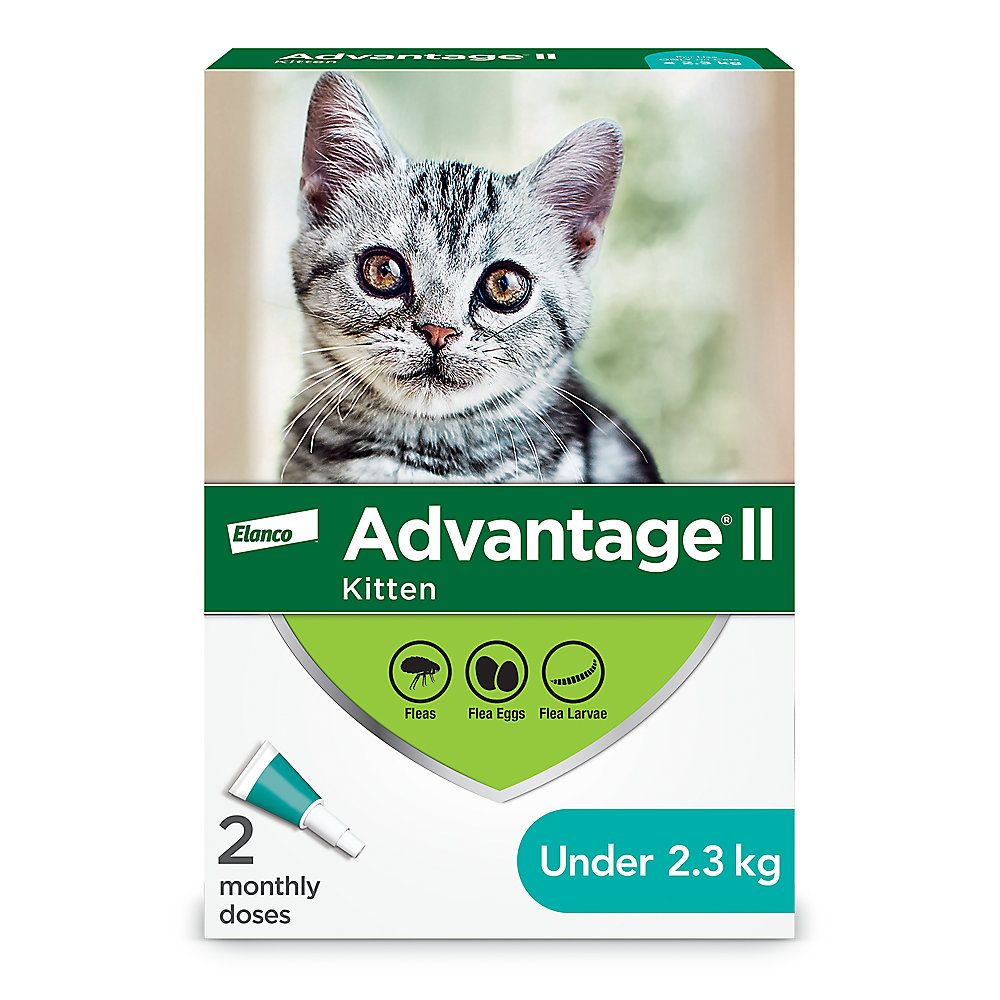 Advantage® II Kitten Once-A-Month Topical Flea Treatment - Under 2.3 kg, Size: 2 doses