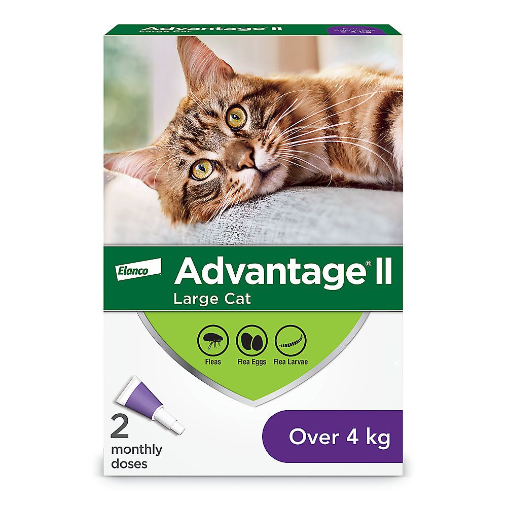 Advantage® II Large Cat Once-A-Month Topical Flea Treatment - Over 4 kg, Size: 2 doses