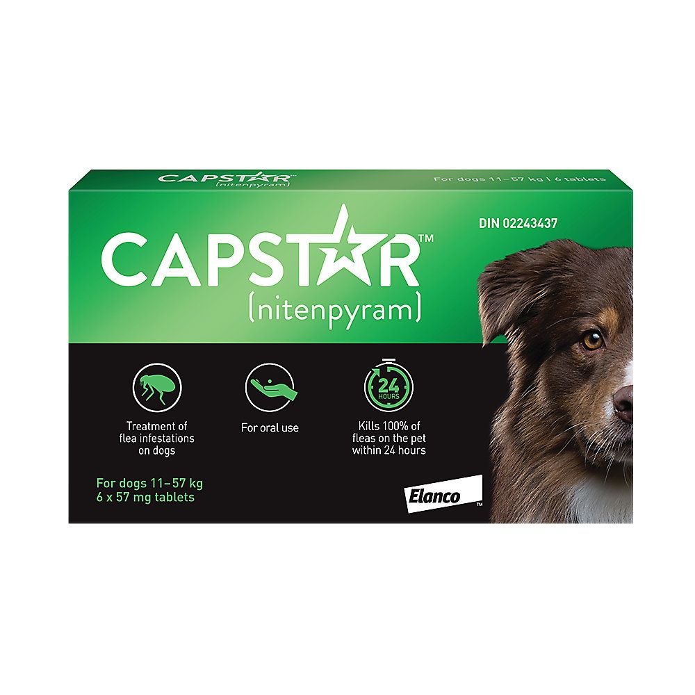Capstar Fast Acting Oral Flea Treatment - Large Dogs