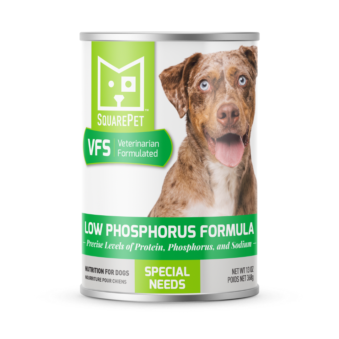 Square Pet VFS Cans Canine Low Phosphorus Formula 13oz