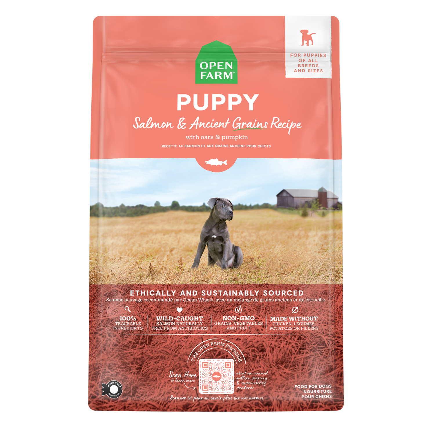 Open Farm Ancient Grains Salmon &amp; Sweet Potato Recipe Puppy Food