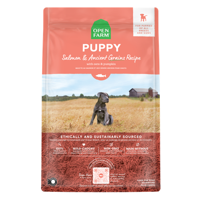 Open Farm Ancient Grains Salmon &amp; Sweet Potato Recipe Puppy Food